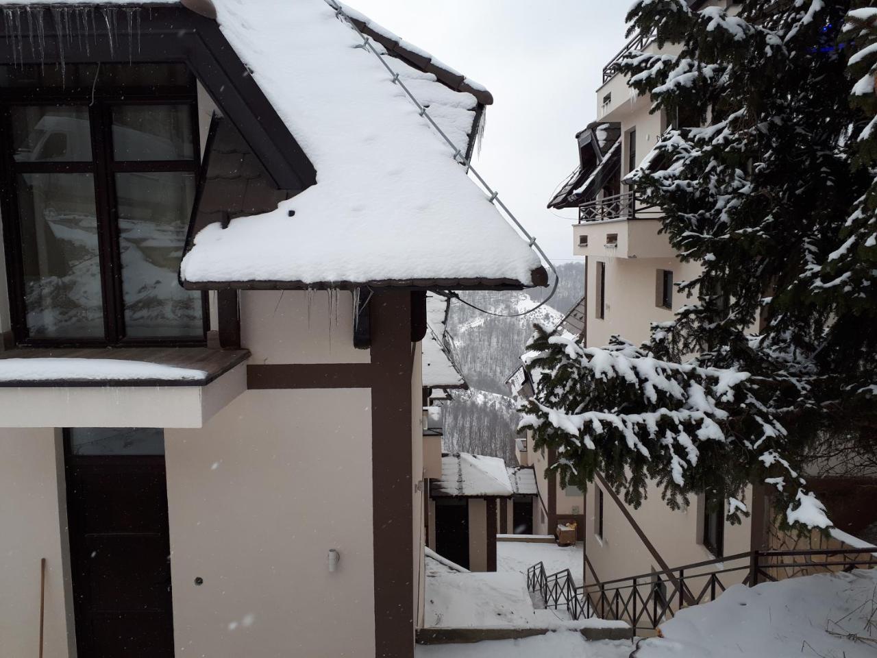 Apartman Andjela Kopaonik Exterior photo